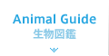 Animal Guide - 生物図鑑