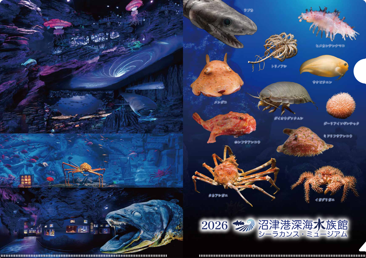 年末年始のイベントのお知らせ